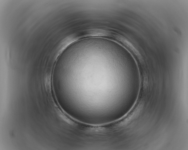 X0000113221417200909171545