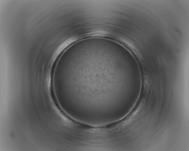 X0000113221418200909171545