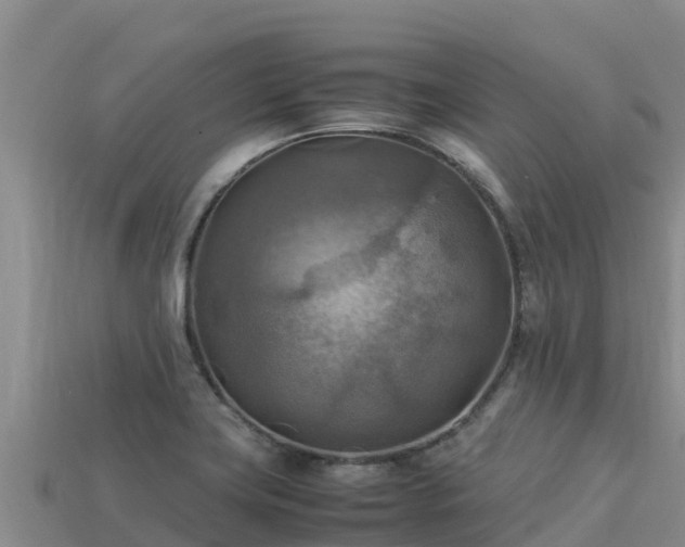 X0000113221419200909171545