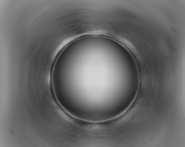 X0000113221420200909171545