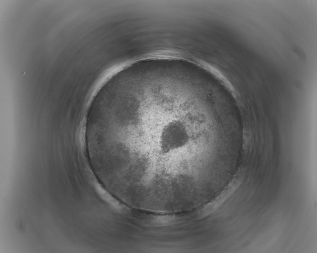 X0000113221421200909171545