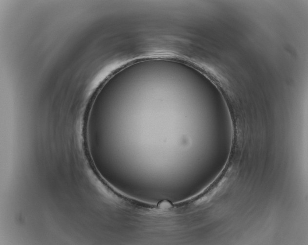 X0000113221422200909171545