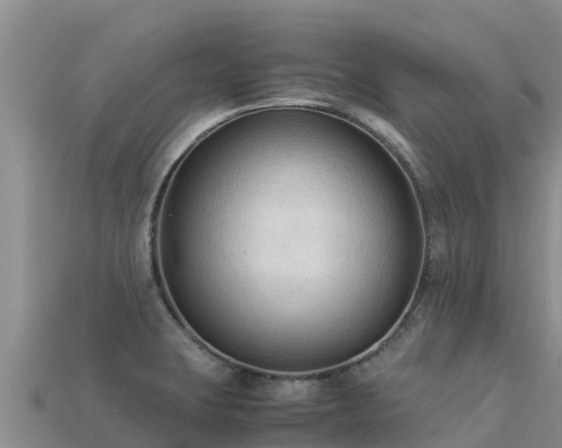 X0000113221423200909171546