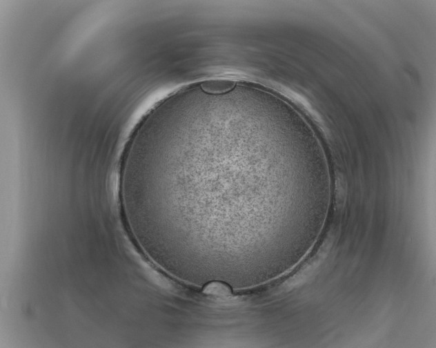 X0000113221424200909171546