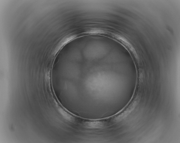 X0000113221425200909171546