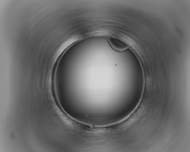 X0000113221426200909171546