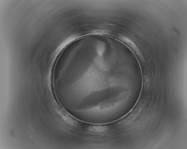 X0000113221427200909171546