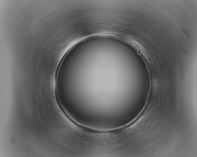 X0000113221428200909171546