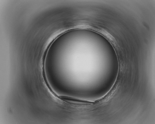 X0000113221430200909171546