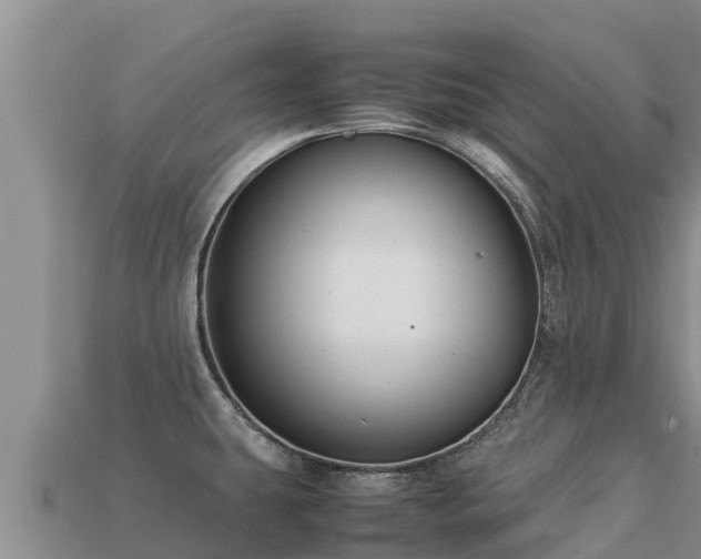 X0000113221431200909171546