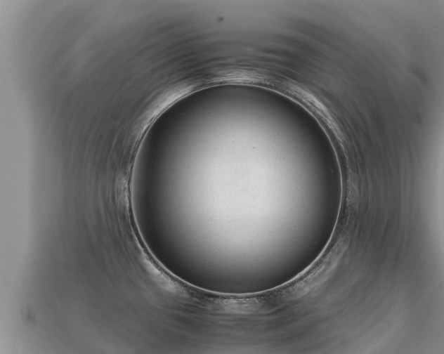 X0000113221433200909171546