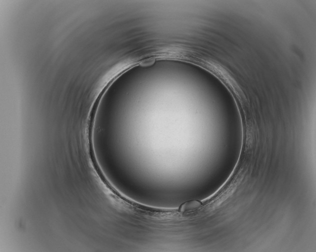 X0000113221434200909171546