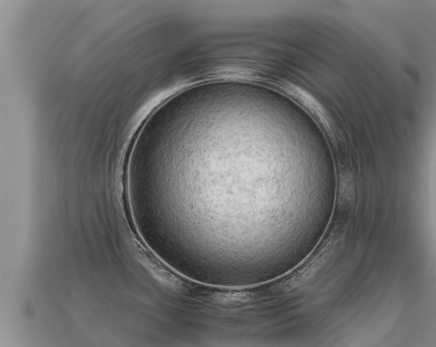 X0000113221435200909171546