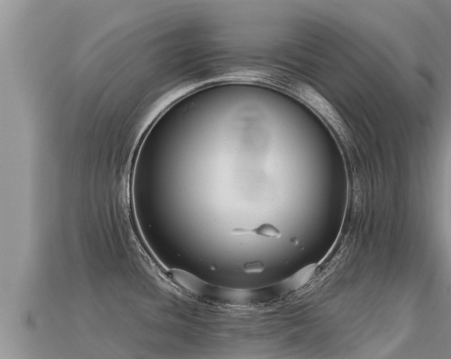 X0000113221436200909171546