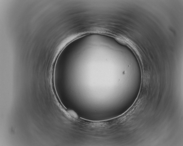 X0000113221437200909171546