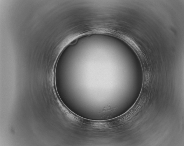 X0000113221439200909171546