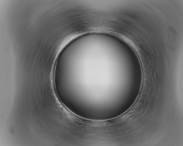 X0000113221440200909171546