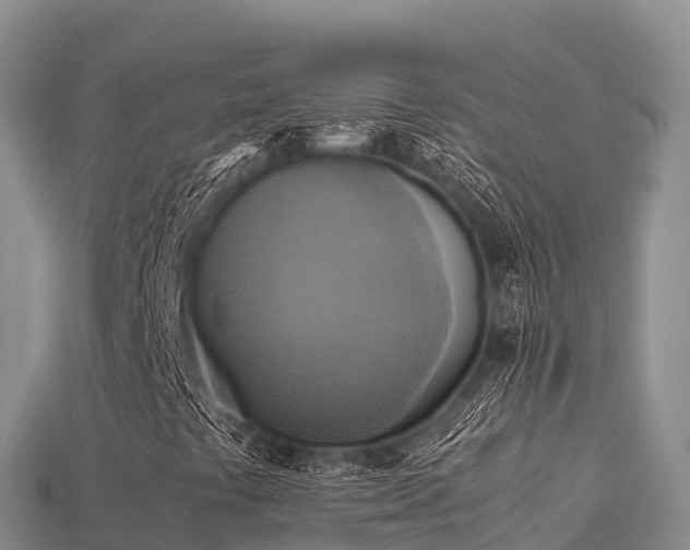 X0000113221441200909171545