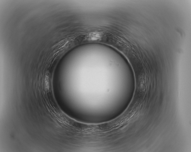 X0000113221442200909171545