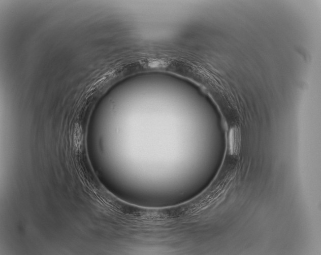 X0000113221443200909171545