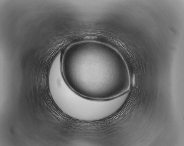 X0000113221444200909171545