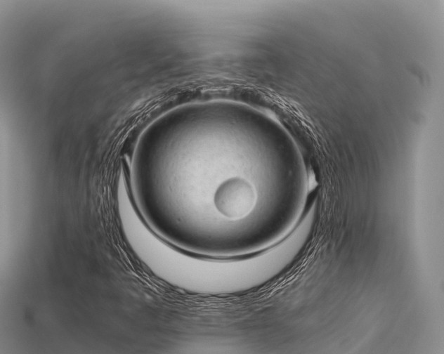 X0000113221445200909171545