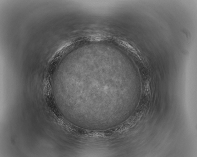 X0000113221446200909171545