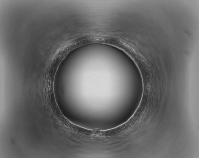 X0000113221447200909171545