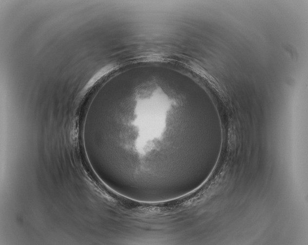 X0000113221450200909171545