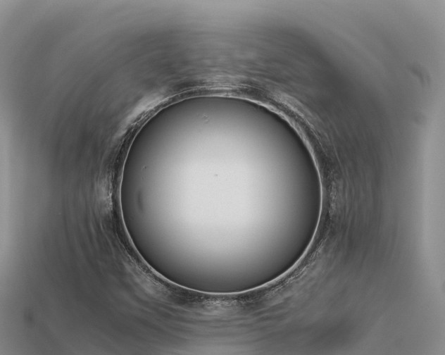 X0000113221451200909171545