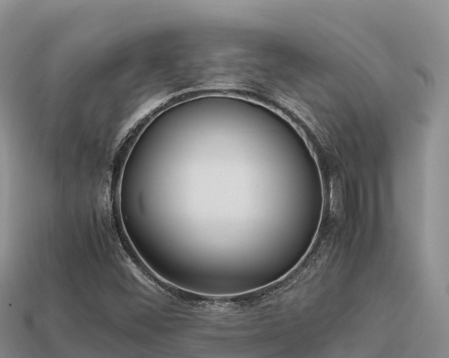 X0000113221452200909171545