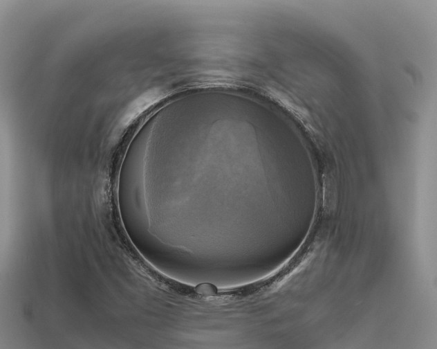 X0000113221453200909171545