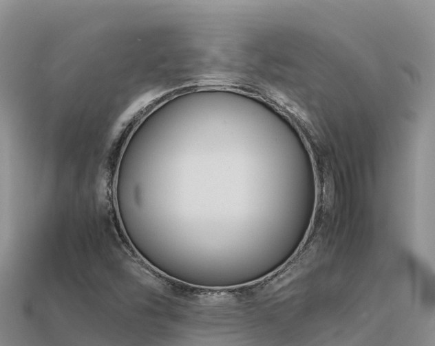 X0000113221454200909171545