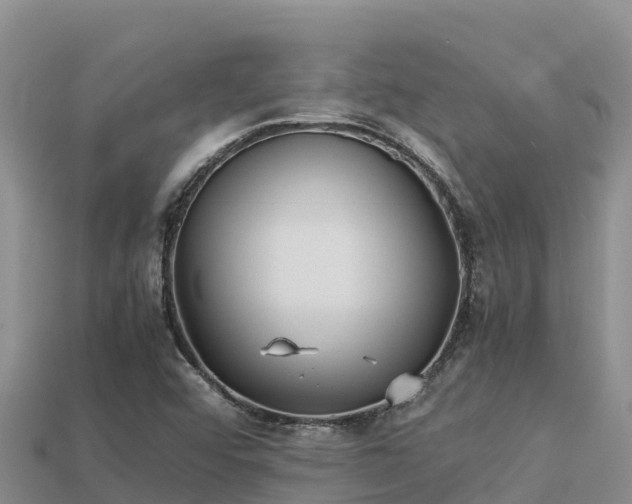 X0000113221456200909171545