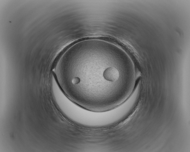 X0000113221457200909171545