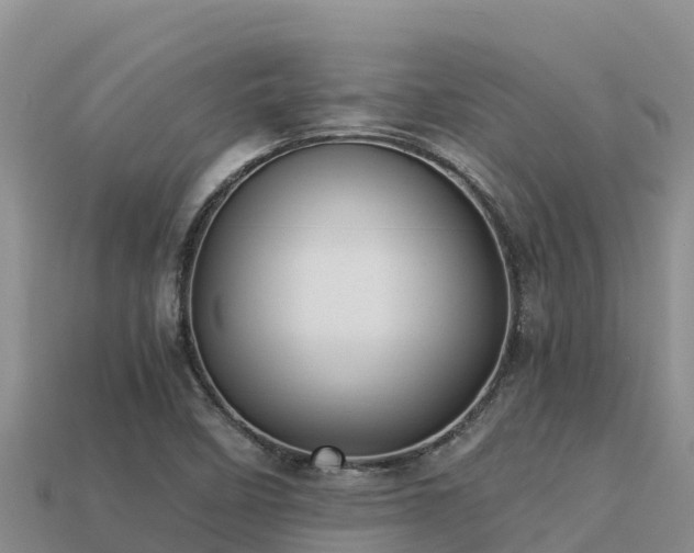 X0000113221458200909171545