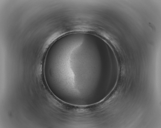 X0000113221459200909171545