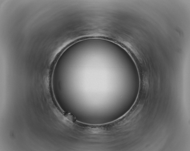 X0000113221460200909171545