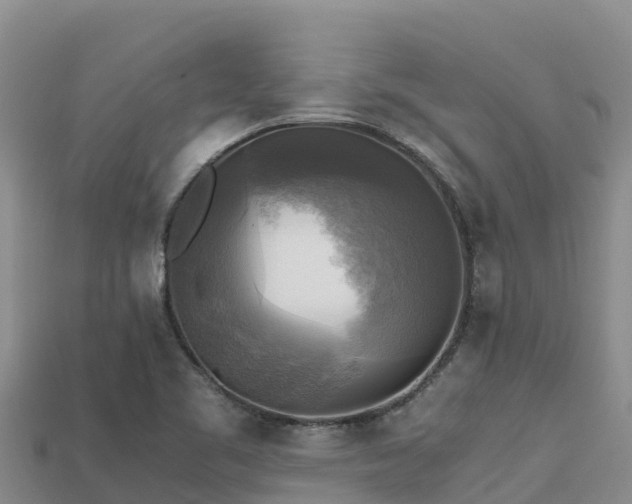 X0000113221461200909171545