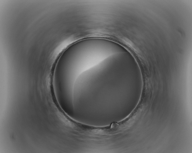 X0000113221463200909171545