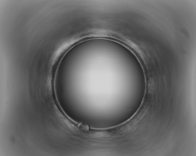 X0000113221464200909171545