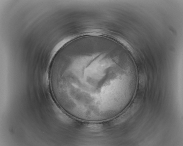 X0000113221466200909171545