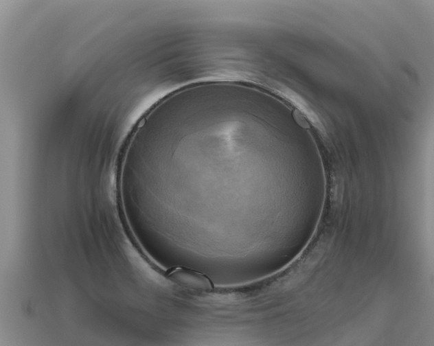 X0000113221468200909171545