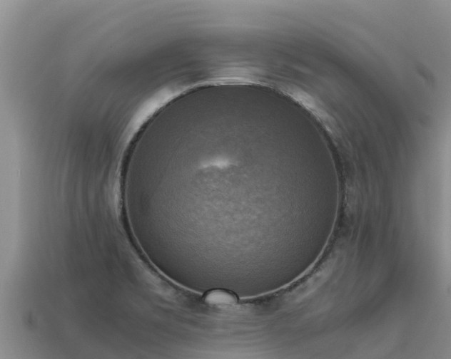 X0000113221469200909171545