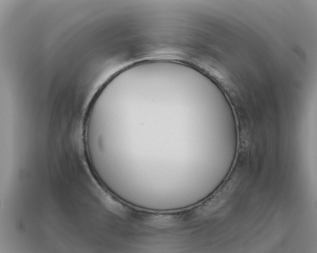 X0000113221470200909171545