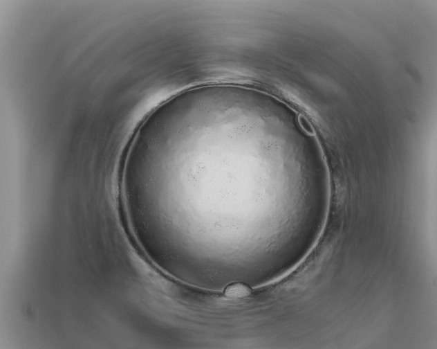 X0000113221471200909171545