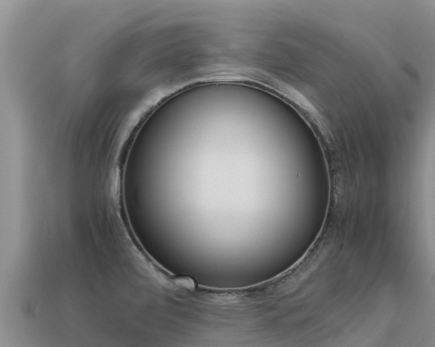 X0000113221472200909171545