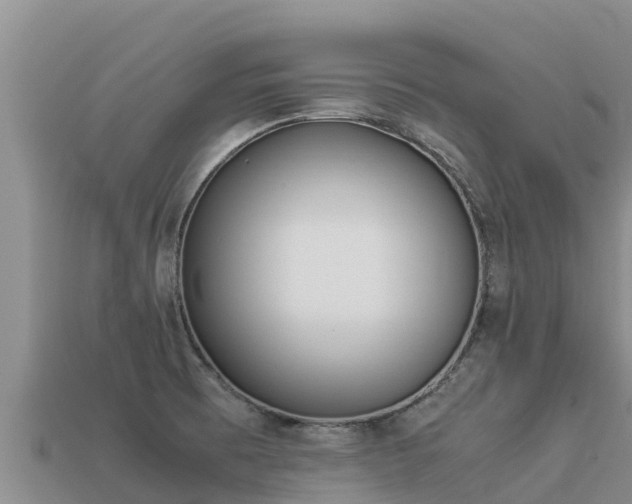 X0000113221473200909171545