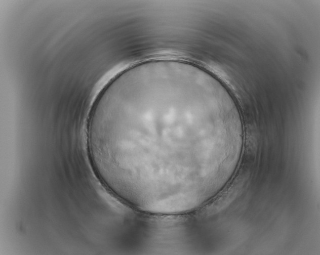 X0000113221474200909171545