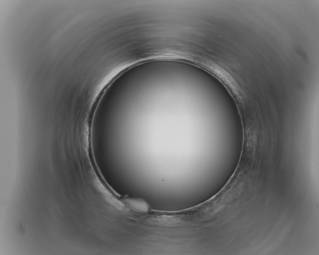 X0000113221476200909171544